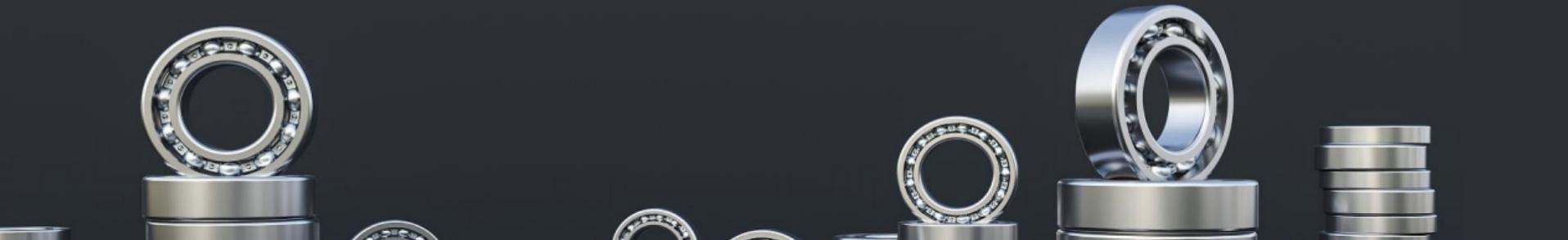 Company Introduction