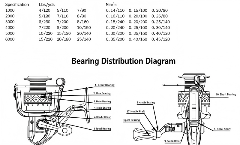 fishing reel bearing distribution diagram, miniature bearing placement positions.png